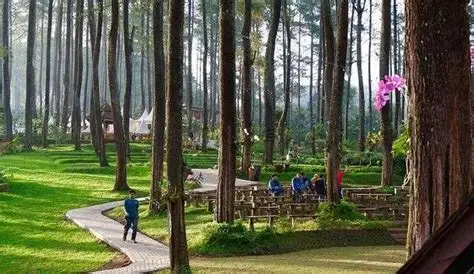 Lembang Natural Tour